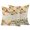 orange, variant on Outdoor Pillow Covers 26x26 Set of 2, Fall Green Orange Pumpkins Waterproof Patio Throw Pillow Covers for Couch Sofa Chair, Maple Leaf Tree Thanksgiving Decorative Pillowcases for Throw Pillows