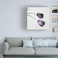 thumbnail image 3 of Symposium Design 'Tulip III' Canvas Art, 3 of 4