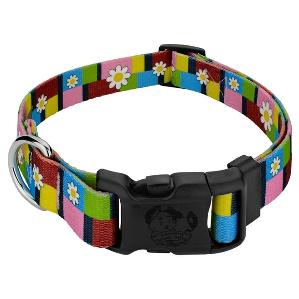 Country Brook Petz® Deluxe Spring Daisies Dog Collar Made in The U.S