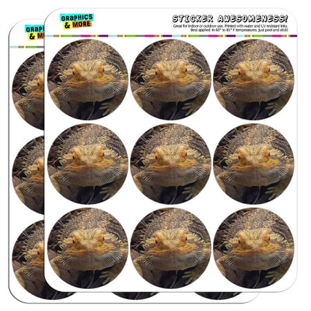 Lizard Sticker - Bearded Dragon Beardie Lizard Reptile 2