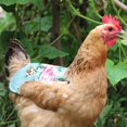 thumbnail image 4 of Pack of 5 Chicken Saddle with Elastic Straps Adjustable Cotton Hens Apron Poultry Feather Protection Jackets Protective Presents, 4 of 10