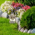 thumbnail image 5 of Esterno Baby Dragon Garden Statue (9-Inch); Hatching Dragon Yard Decor, 5 of 9