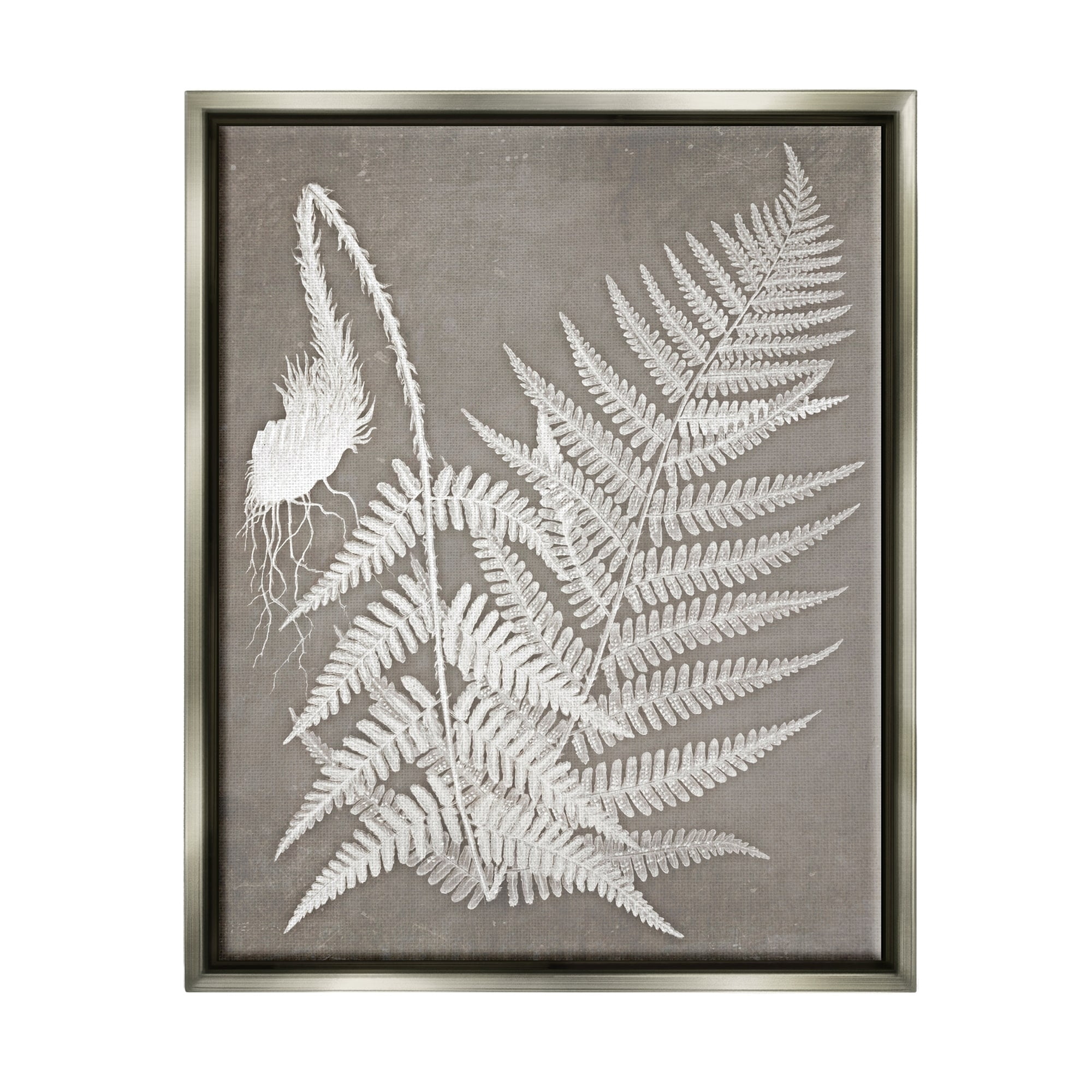 Stupell Industries Layered Botanicals Fern Leaves Nature Vegetation Graphic Art Luster Gray Floating Framed Canvas Print Wall Art, Design by Graffitee Studios
