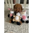 thumbnail image 4 of Glory To Dog Barnyard Cow Plush and Squeaker Dog Toy, 4 of 4