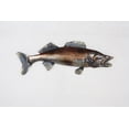 thumbnail image 2 of Lake Fish  Metal wall art  23"x8", 2 of 4