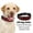 Red, variant on Leadleds Digital Collar Programmable LED Pet Safety Collar, Red, Small/Medium/Large
