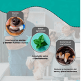 thumbnail image 3 of Pasta Dental para Perros Fancy Pets Medical Solutions, 3 of 5