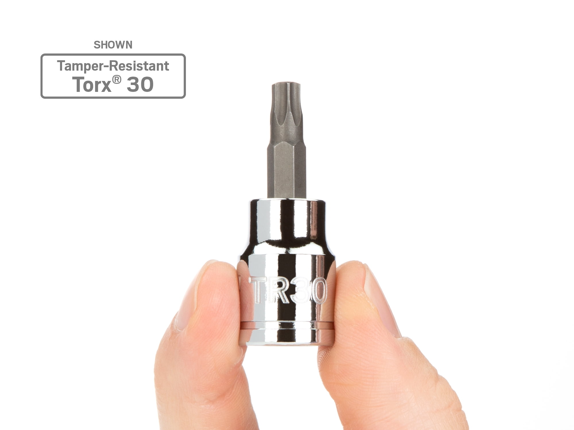 TEKTON 3/8 Inch Drive x TR10 Tamper-Resistant Torx Bit Socket | SHB17210