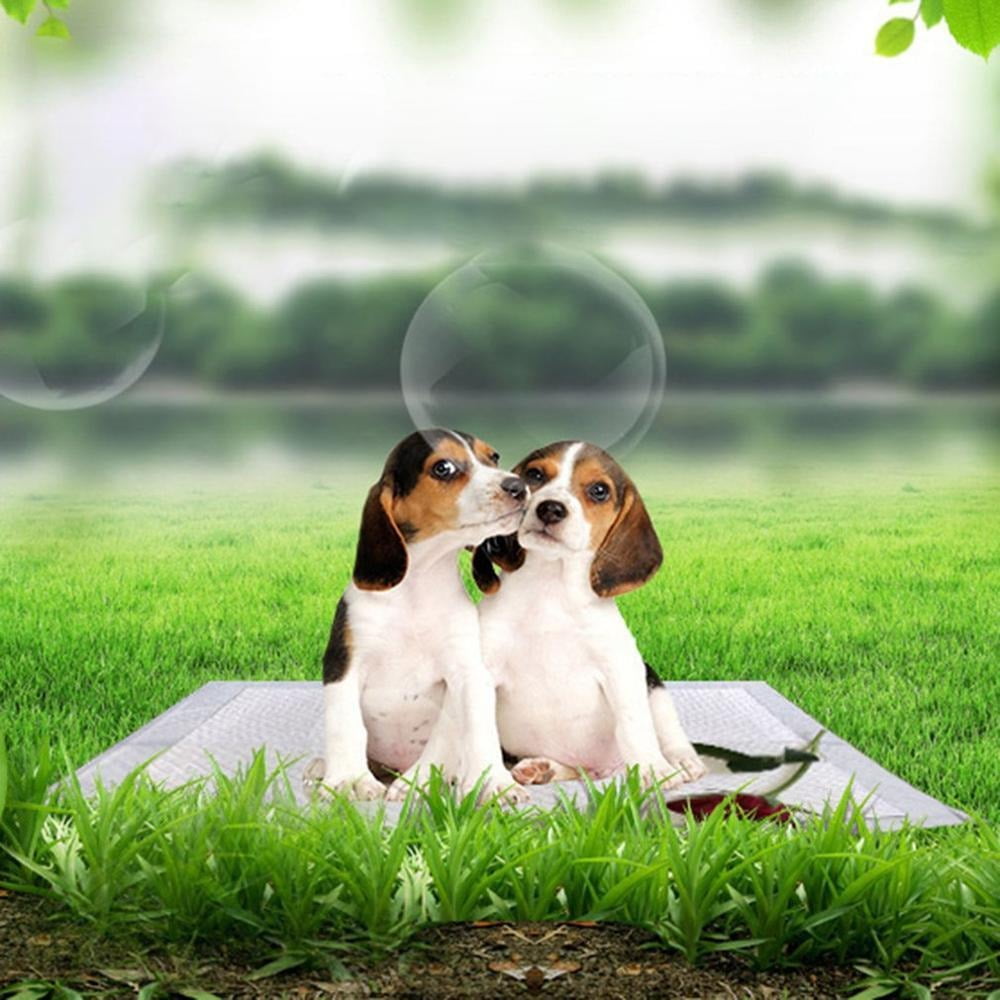 100/20PCS Thicken Pet Dog Changing Mat Multi-size Super Absorbent Diaper Pet Cat Training Pee Pad Mat Puppy Nappy Pet Cleaning for Dog Diaper