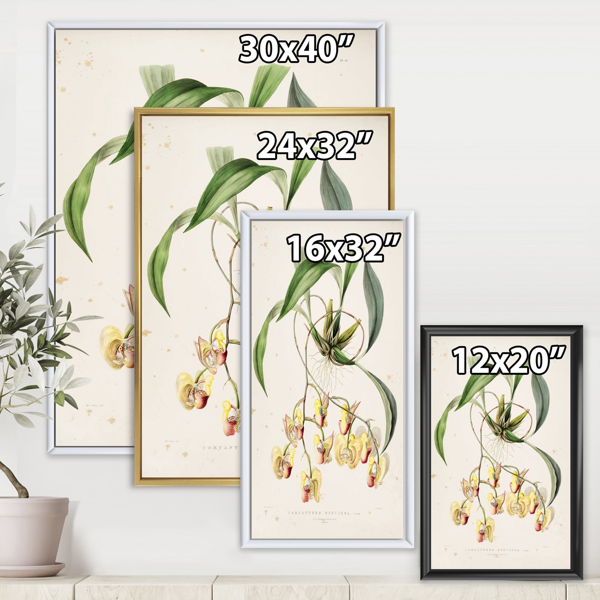 Designart 'Blossoming Vintage Flower I' Traditional Framed Canvas Wall Art Print
