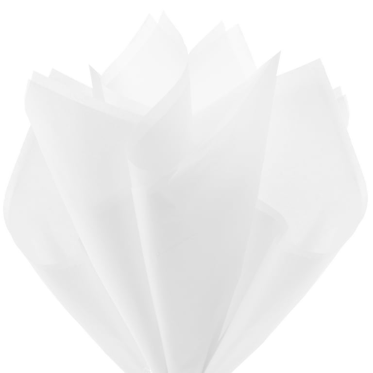 Hallmark White Tissue Paper, 100 Sheets for Christmas Gift Wrap, Holiday  Crafts and More