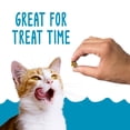 Friskies Cat Treats, Party Mix Seafood Lovers Crunch (10) 2.1 oz