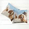 thumbnail image 6 of Ambesonne Funny Throw Pillow Cover 2 Pack, Cats Dogs in Sky Clouds, 16", Multicolor, 6 of 7