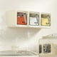thumbnail image 3 of Caja De Condimentos Transparente, Caja De Condimentos Generosa Montada En La Pared De Plástico Que Ahorra Espacio Para Cocina, 3 of 7
