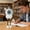 White, variant on ROLKFUK USB Rechargeable Mini Fan with Suction Cup & Digital Speed Display, 5-Speed Portable Fan for Kitchen Office Bathroom Travel, Mint Green