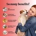 thumbnail image 3 of Soothing Oatmeal Shampoo for Dogs - Cleansing and Moisturizing Aloe & Oatmeal Dog Shampoo for Smelly Dogs of all Ages & Breeds - Gentle Sulfate and Paraben Free Dog Wash Made in USA (Sweet Fruity), 3 of 7