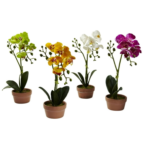 Nearly Natural Phalaenopsis Orchid Artificial Flower Arrangement with Clay Vase (Set of 4), Assorted