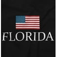 thumbnail image 2 of Florida Pride American Flag FL USA Plus Size Crewneck Graphic Tee Shirt Brisco Brands 2X, 2 of 5