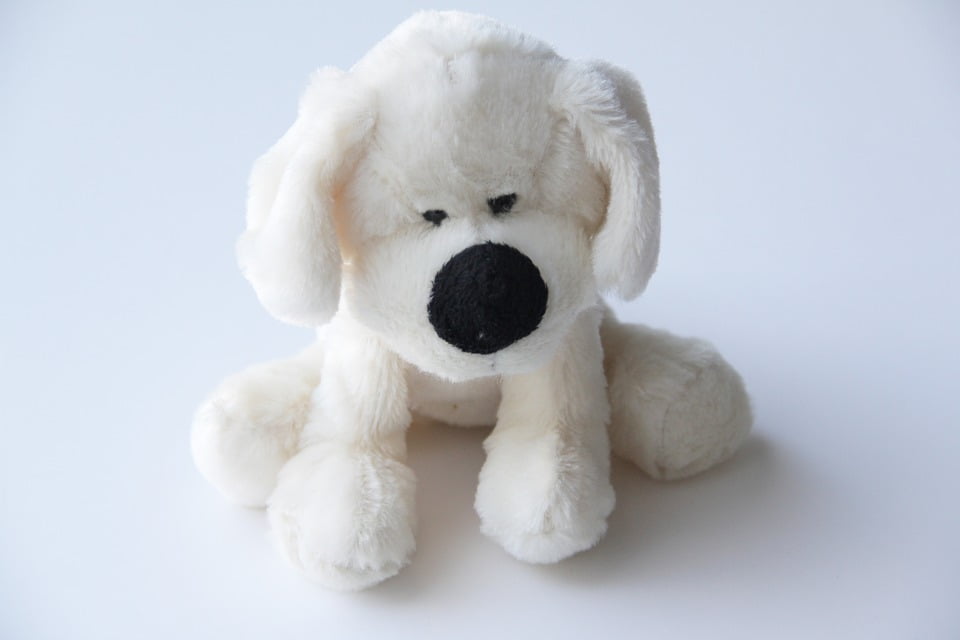 cute puppy plush