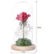 thumbnail image 2 of Cadena de luces de cristal con flores secas blancas y musgo verde y flores rosas, 2 of 8