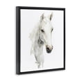 thumbnail image 2 of Stupell Industries Contemporary Soul Of The Prairie Black Floating Frame Canvas Art, 17 x 21, by Svetlana Aleynikova, 2 of 8