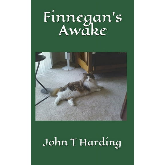 Finnegan's Awake (Paperback)