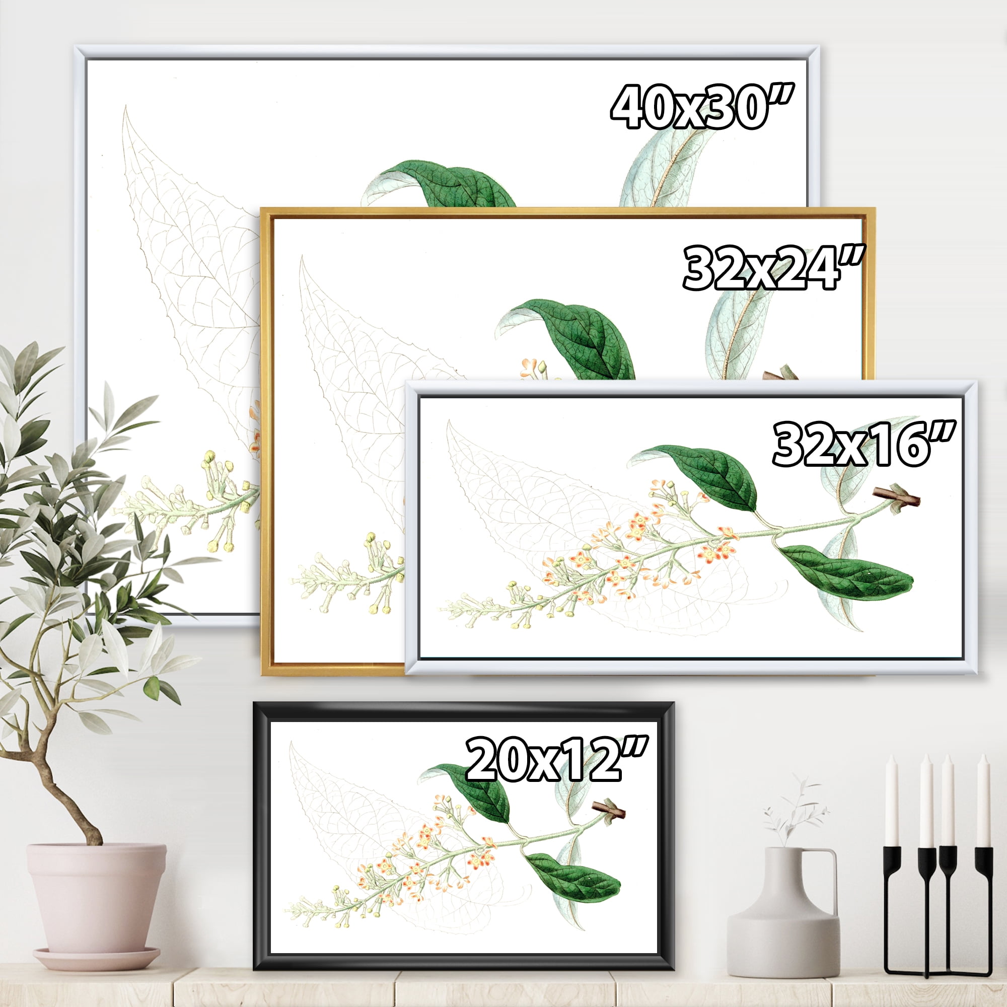 Designart 'Ancient Plant Life XXVII' Traditional Framed Canvas Wall Art Print