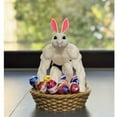 thumbnail image 2 of Funny High Protein Easter Egg Decoration – Candy Blue Gag Gift Ornament for Easter Basket, Home Desk Display, Novelty Spring Holiday Décor for Adults & Teens, 2 of 5