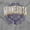 Sport Grey, variant on Minnesota Student Campus Pride MN Plus Size Crewneck Graphic Tee Shirt Brisco Brands 3X
