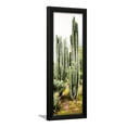thumbnail image 1 of �Viva Mexico Panoramic Collection  Cactus IV, Botanical World Culture Framed Art Print Wall Art by Philippe Hugonnard Sold by Art.Com, 1 of 5