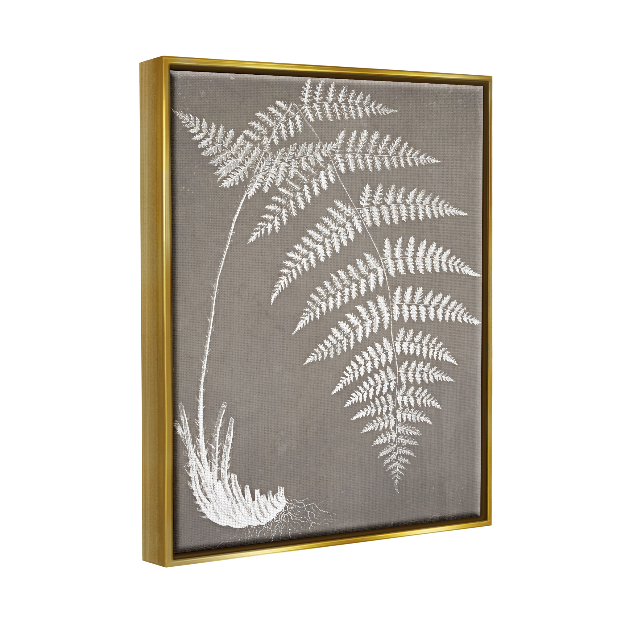 Stupell Industries Fern Leaves Roots Growing Botanicals Neutral Tones Graphic Art Metallic Gold Floating Framed Canvas Print Wall Art, Design by Graffitee Studios