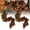 2pcs, variant on Brown Magnolia Leaf Garland,Brown Magnolia Leaf Garland,6FT Brown Magnolia Leaf Garland for Fall Decor – Realistic Faux Silk Leaves, Rustic Harvest Indoor Autumn Decoration(1pc 6ft)