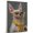 American Hairless Terrier, variant on Boerboel Dog Playing Saxophone Stretched Canvas Size 8x12 – Music Dog, Perfect for Animal Lovers, Boerboel Dog Canvas, Saxophone Canvas Size Wall Art