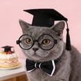 thumbnail image 4 of Pet Graduation Caps with 2026 Black Tassels, Dog and Cats Graduation Hats Adjustable Mini Graduation Caps for Graduation Photo Props Holiday Costume, 4 of 6