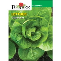 Burpee Little Gem Vegetable Seed