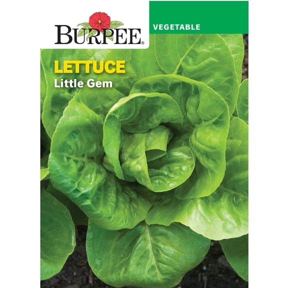 Burpee Little Gem Vegetable Seed