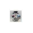 thumbnail image 1 of National Tree RAC-C30910C11-1 16 x 16 in. Cushion with Snowflake Design, 1 of 3