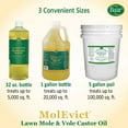 thumbnail image 3 of Baar Lawn Mole Castor Oil, MolEvict, 1 Gallon, 3 of 6