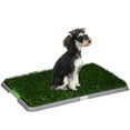 thumbnail image 1 of PawHut Artificial Grass Pee Pad for Dogs Potty Training, 1 of 10