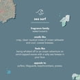 thumbnail image 4 of Body Wash Method Method Men Sea + Surf Suavizante, 540 ml (paquete de 3), 4 of 9