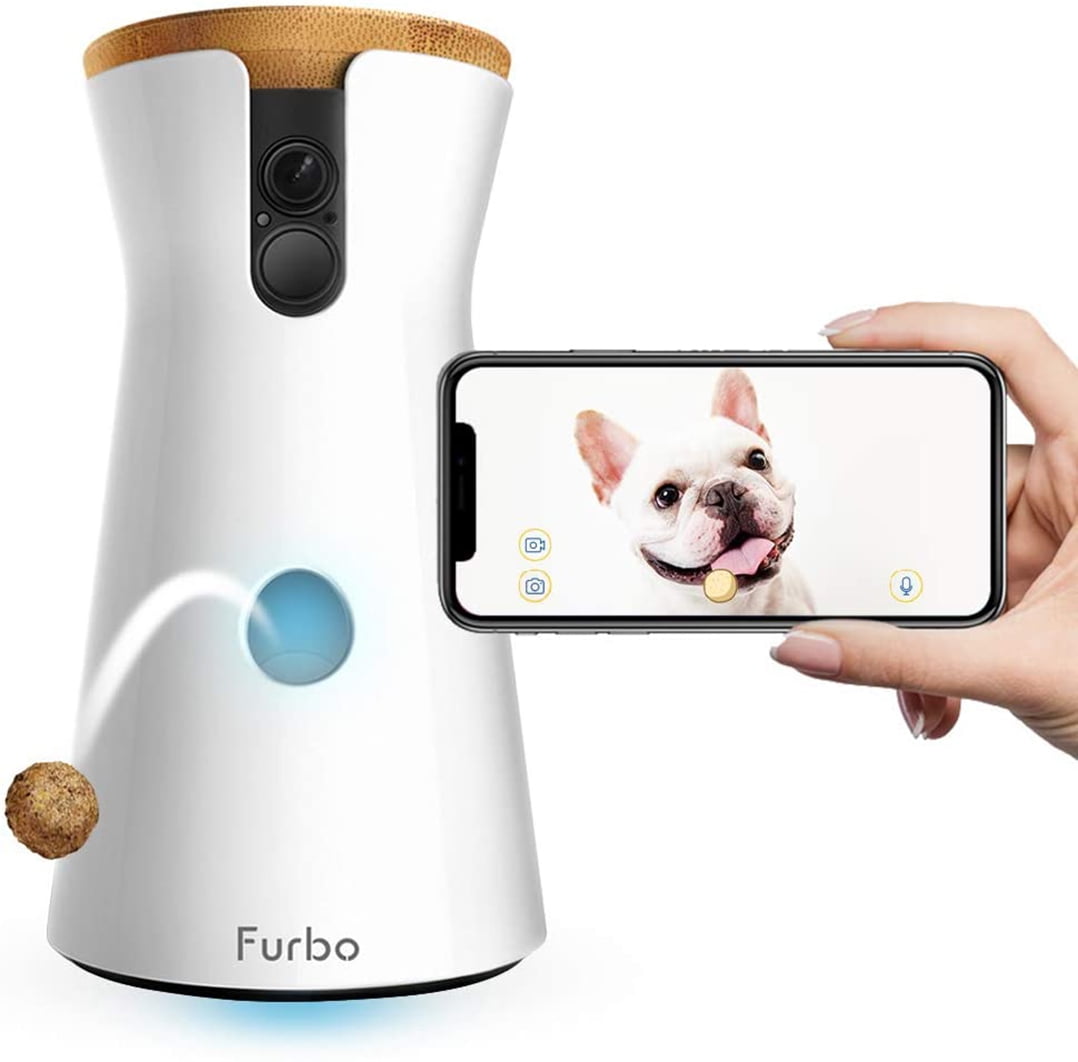 dog camera that throws treats