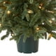 thumbnail image 3 of Árbol de Navidad artificial National Tree Company de 3 pies con luces, 3 of 5