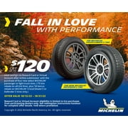 Michelin Pilot Sport 4 205/40ZR18 (86Y) XL Tire