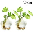 thumbnail image 2 of Wall Hanging Planter Modern: 2PCS Decorative Glass Planter Flower Vase Plant Pot, 2 of 10