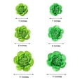 thumbnail image 3 of Efavormart 6 Pack Lime Green & Mint Assorted Size Giant Paper Peony Flowers Decor for Centerpieces Arrangement - 7" | 9" | 11", 3 of 10