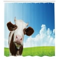 thumbnail image 3 of Cattle Shower Curtain, Cute Brown and White Cow Staring from the Landscape of Wide Green Field and Open Sky, Fabric Bathroom Set with Hooks, 69W X 84L Inches Extra Long, Multicolor, by Ambesonne, 3 of 3