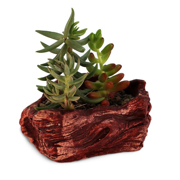 Ceramic Wood Plant Pot | Indoor Planter for Succulents & Flowers (Redwood Wave)