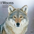 thumbnail image 1 of BrownTrout Wolves 2024 12x24 Inch Square Wall Calendar, 9781975470357, 1 of 8