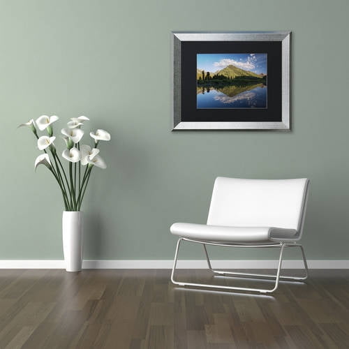 Trademark Fine Art 'Paradise Pond I' Canvas Art by Michael Blanchette Photography, Black Matte, Silver Frame