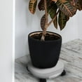 thumbnail image 4 of Worgeous Plant With Wheels 11.79 Inch Outdoor Indoor Rolling Plant Stand With Casters Plant Dolly With Brake And Water Tray For Flower Pots Plants Pots, 4 of 8